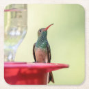 Search for belly coasters Bird