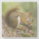Search for nova scotia coasters Sightseeing