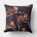 Search for red panda pillows China