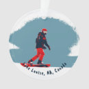Search for snow boarding ornaments Snowboarder