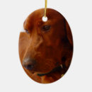 Search for irish setter ornaments Dogs
