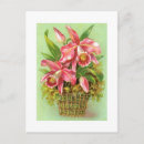 Search for pink black white postcards Orchids