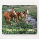 Search for breeder electronics Horse