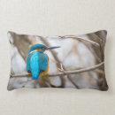 Search for kingfisher pillows Bird