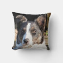 Search for border collie pillows Animal
