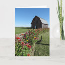 Search for countries cards Rural