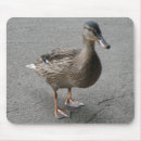 Recherche de canard drôle tapis souris Canards