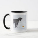 Search for fishbowl mugs Studio shot