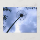 Recherche de désir cartes postales Bleu