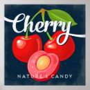 Recherche de cherry fruit posters Cerise