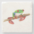 Recherche de dessin grenouille cuisine dîner Vert