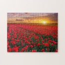 Recherche de tulip puzzles Ferme