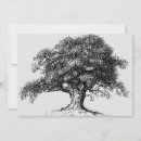 Recherche de ancêtre Réunion