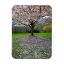Recherche de arbre japonais magnets Fleurs