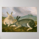 Search for vintage easter bunny posters Hare