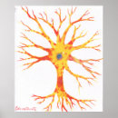 Search for neuron posters Biology
