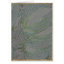 Search for hosta Green