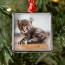 Search for tiny small ornaments Cute