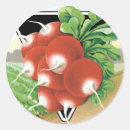 Recherche de radis autocollants Légumes