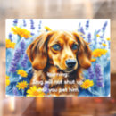Search for funny dog signs Welcome