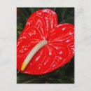 Search for hawaiian christmas postcards Red