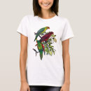 Search for lory Birds