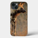 Search for close up ipad cases Africa
