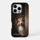Search for shelties iphone cases Shetland sheepdog