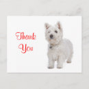 Search for white guy postcards Puppy