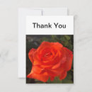 Search for beautiful rose thank you cards Flower