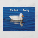 Search for ducky postcards Nature