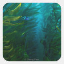 Search for hide and seek stickers Blue tang fish