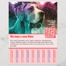 Recherche de chiots prospectus Chiens