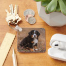 Search for bernese mountain dog keychains Animal