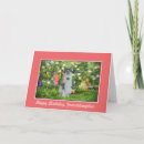 Search for cat and flowers cards Cats