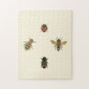 Search for beetle puzzles Insects