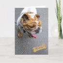 Search for pleasurable cards Dog
