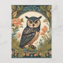 Search for unique owl postcards Vintage