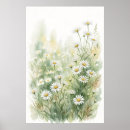 Recherche de marguerite blanche posters Été