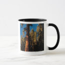 Search for sequoia national forest mugs Nature