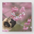 Recherche de carlin mignon art Fleurs
