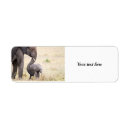 Search for safari return address labels Animal