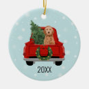Search for golden doodle ornaments Pet