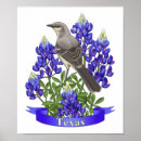 Search for mockingbird posters Texas