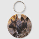 Search for wild dog keychains Wildlife