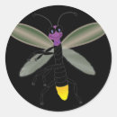 Search for glow bug stickers Cute