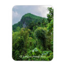 Recherche de pic magnets Nature