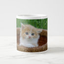 Search for baby kitten mugs Blue eyes