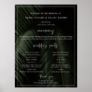 Recherche de feuille palmier posters Noir et blanc
