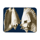 Recherche de coquillage magnets Conque